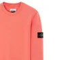 Stone Island Sweatshirt (Hellorange)