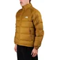 The North Face Hydrenalite Down Winter Jacket (Braun)