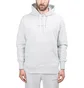 Aimé Leon Dore Logo Hoodie (Hellgrau)