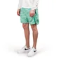 Stone Island Shadow Project Shorts (Grün)