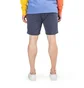 Aimé Leon Dore Chino Short (Navy)