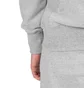 Aimé Leon Dore Logo Hoodie (Hellgrau)