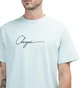 Chrystie NYC Script Logo T-Shirt (Mint)