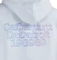Carhartt WIP Hooded Duel Sweat (Hellblau)
