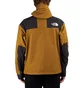 The North Face GTX Mountain Jacket (Oliv)