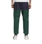 adidas Pant 'Atric' (Collegiate Grün)