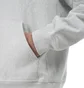 Carhartt WIP American Script Hoodie (Hellgrau)