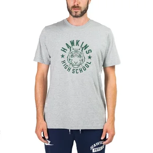 Nike x Stranger Things SS Tee (Grau / Grün)