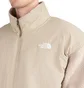 The North Face Platte Sherpa 1/4 Zip (Creme)