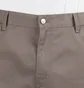Carhartt WIP Simple Short (Grau / Braun)