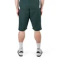 Dime Wave Cable Knit Shorts (Grün)