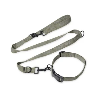 Carhartt WIP Tour Dog Leash & Collar (Grün)