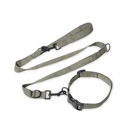 Carhartt WIP Tour Dog Leash & Collar (Grün)