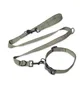 Carhartt WIP Tour Dog Leash & Collar (Grün)