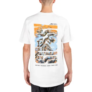 Stüssy Desert Sky Tee (Weiß)