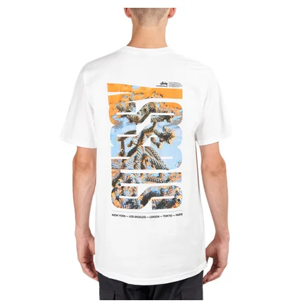 Stüssy Desert Sky Tee (Weiß)