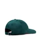 by Parra Script Logo 6 Panel Hat (Grün)