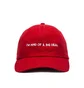 NASASEASONS Cap 'I'm Kind Of A Big Deal' (Rot / Weiß)