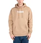 Pleasures Blurry Hoodie (Braun)