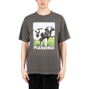 Pleasures x Playboy Moo T-Shirt (Grau)
