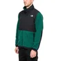 The North Face M Denali Jacket 2 (Grün / Schwarz)