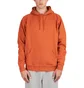 Pop Trading Company Logo Hooded Sweat (Orange / Gelb)