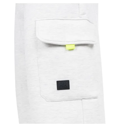 Helly Hansen Arc S21 Ocean Sweatshorts (Hellgrau)