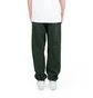 Stüssy Stock Logo Pant (Grün)