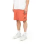 Stüssy Mask Water Short (Rot)