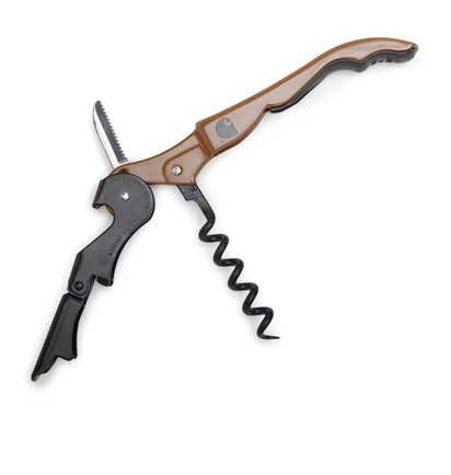 Carhartt WIP Script Pulltap's Corkscrew (Braun / Schwarz)