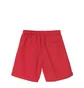 Stüssy Stock Water Short (Rot)