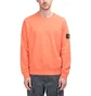 Stone Island Sweatshirt (Hellorange)