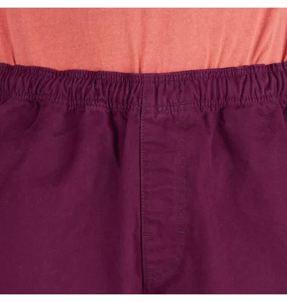 Stüssy Brushed Beach Short (Pflaume)