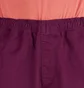 Stüssy Brushed Beach Short (Pflaume)