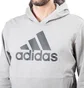 adidas x UNDFTD Tech Hoodie (Grau)