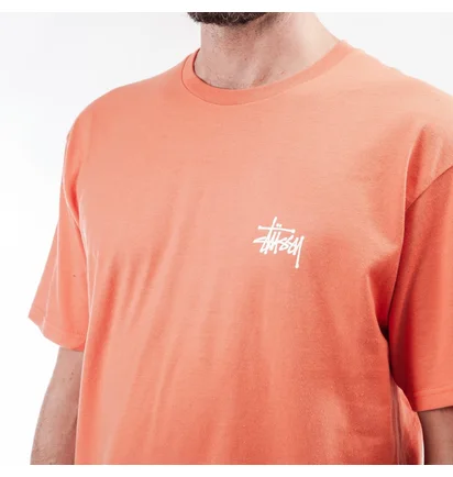 Stüssy Basic Stüssy Tee (Orange)