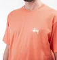 Stüssy Basic Stüssy Tee (Orange)