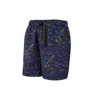 Nike ACG Shorts (Blau / Grün)