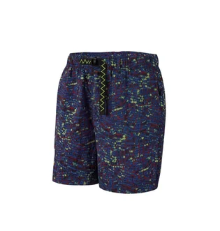Nike ACG Shorts (Blau / Grün)