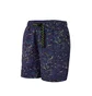 Nike ACG Shorts (Blau / Grün)