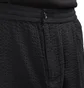 Stüssy Seersucker Bryan Shorts (Schwarz)