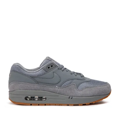 Nike Air Max 1 (Grau)