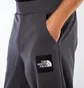 The North Face M Fine Pant (Asphalt-Grau)