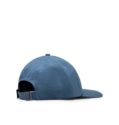 Patagonia P-6 Label Trad Cap (Blau)