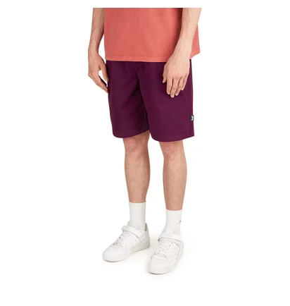Stüssy Brushed Beach Short (Pflaume)