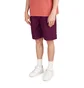 Stüssy Brushed Beach Short (Pflaume)