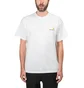 Carhartt WIP American Script T-Shirt (Weiß)