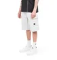 Helly Hansen Arc S21 Ocean Sweatshorts (Hellgrau)