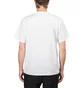 Carhartt WIP American Script T-Shirt (Weiß)