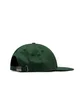 Carhartt WIP SIgnature Cap (Grün)